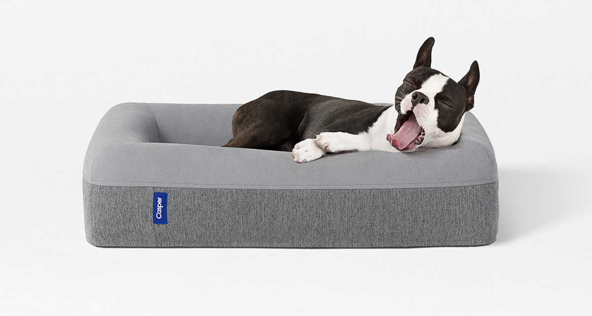 Casper Dog Bed