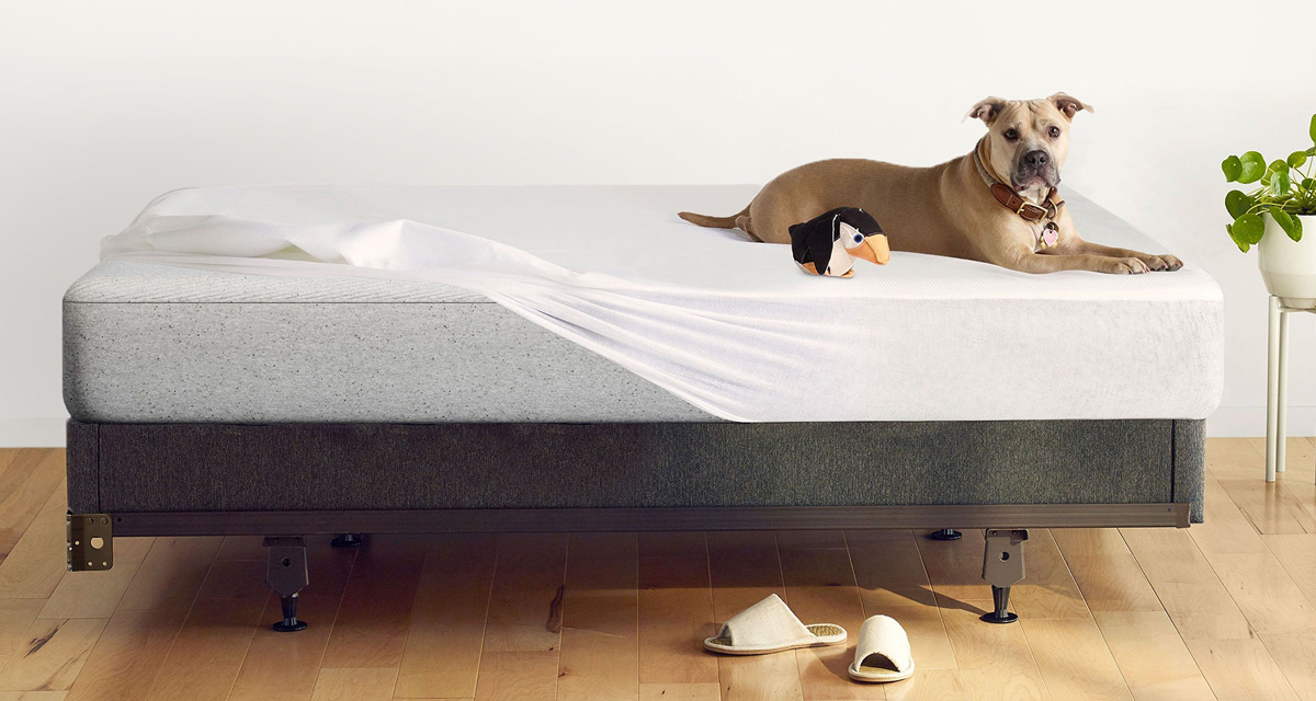 Mattress Protector