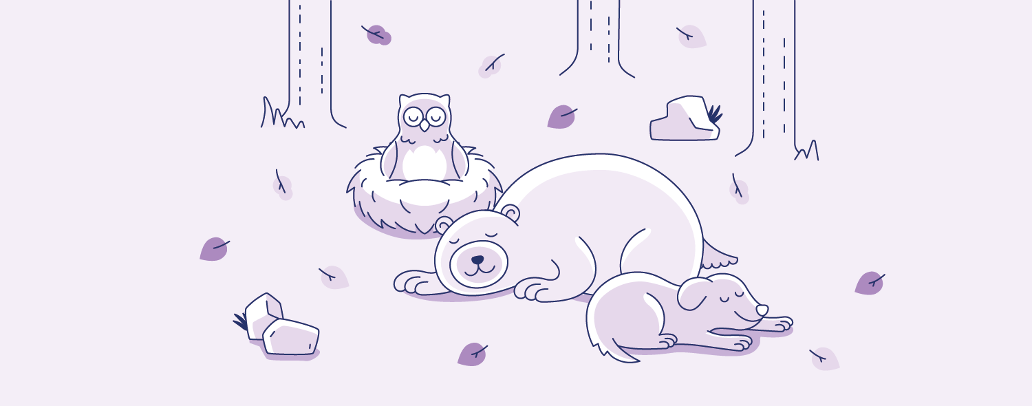 02 Dog, owl, bear