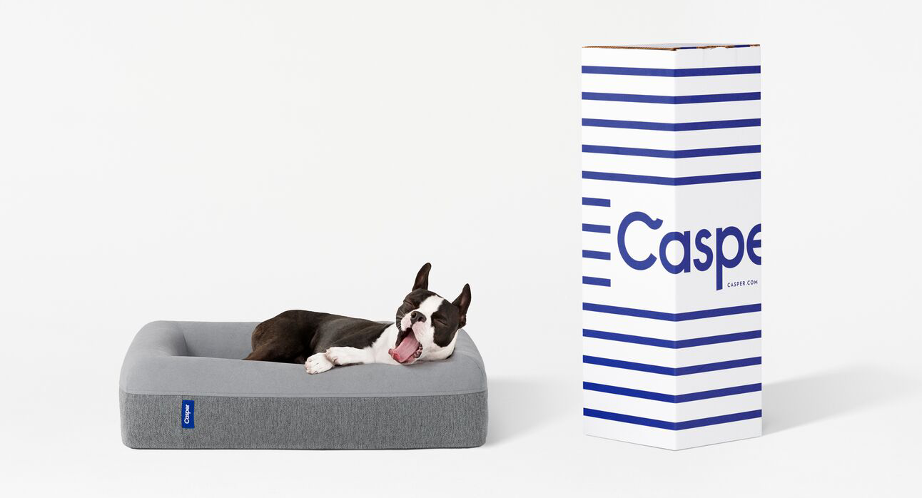 a French Bulldog lounges happily in a Casper dog bed