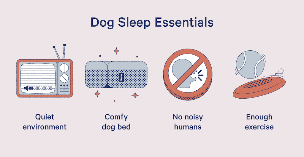 how to improve your dog's sleep