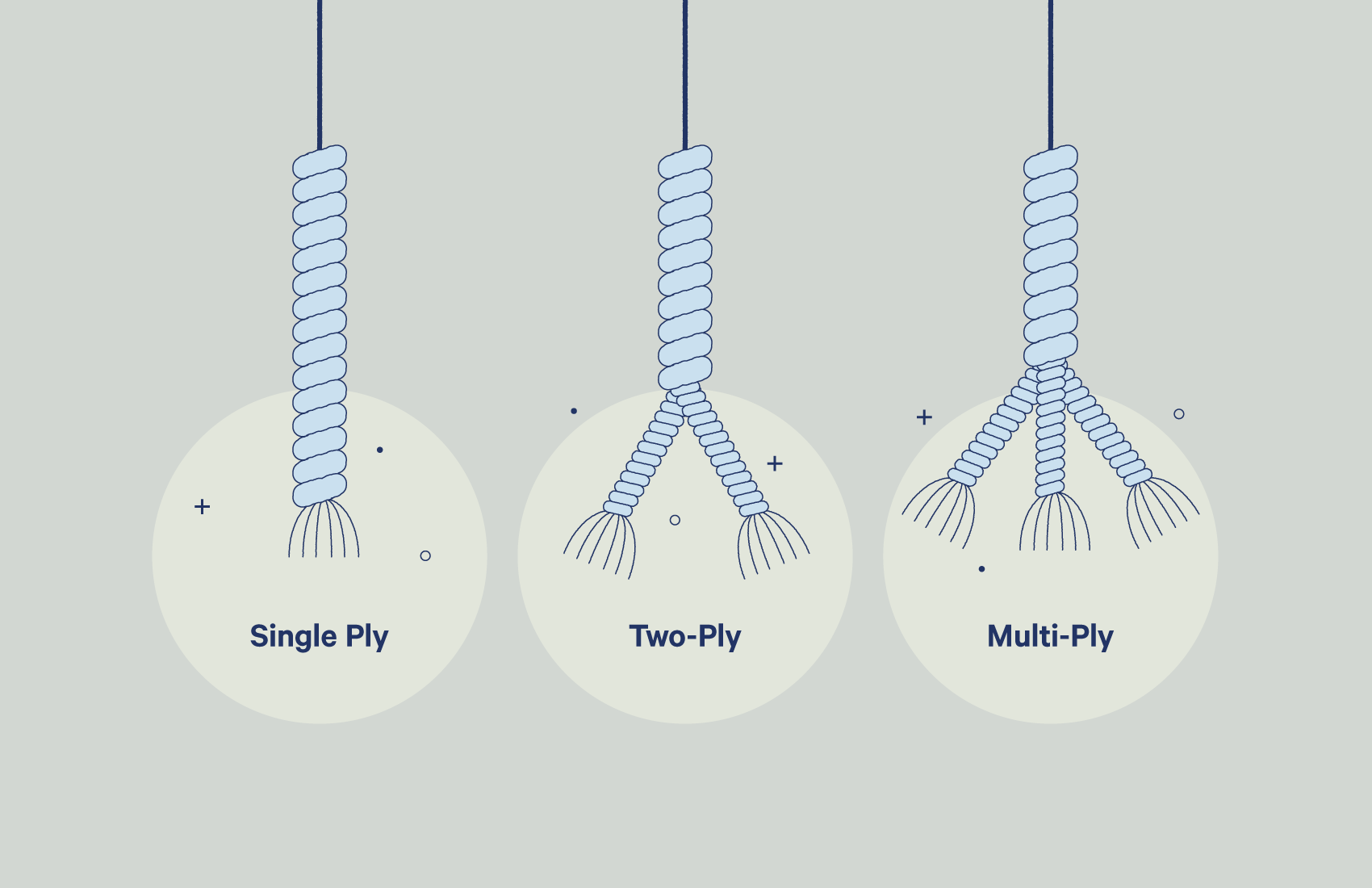 single-ply, two-ply, and multi-ply explained