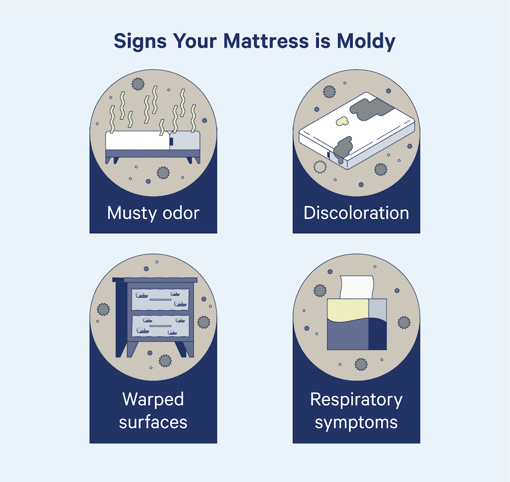 If your mattress has a musty odor, discoloration, your bedroom has warped surfaces, or you have respiratory symptoms, your mattress might be moldy.